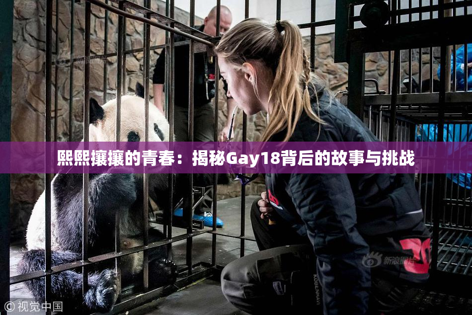 熙熙攘攘的青春：揭秘Gay18背后的故事与挑战