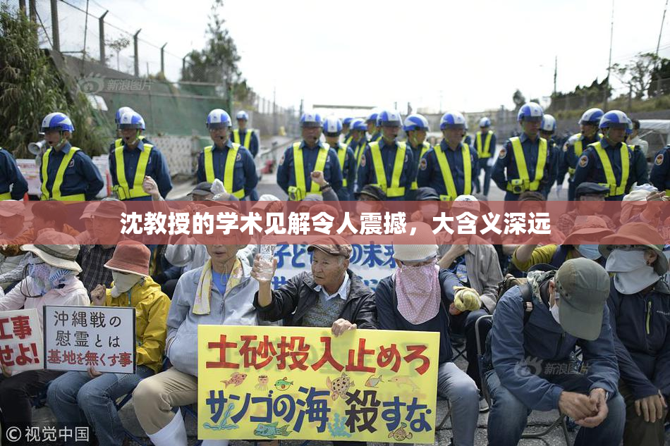 沈教授的学术见解令人震撼，大含义深远
