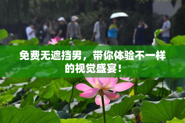 免费无遮挡男，带你体验不一样的视觉盛宴！