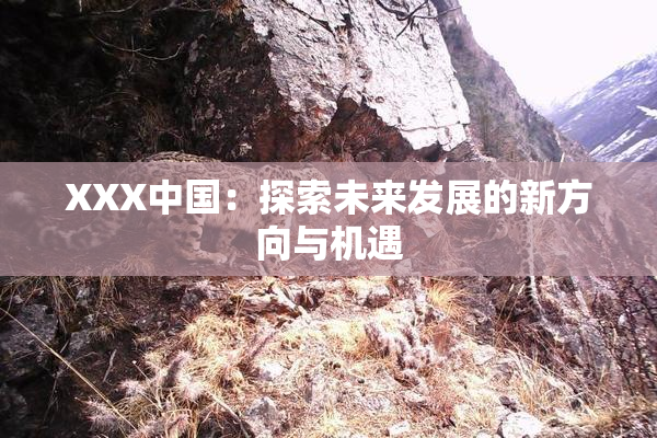XXX中国：探索未来发展的新方向与机遇