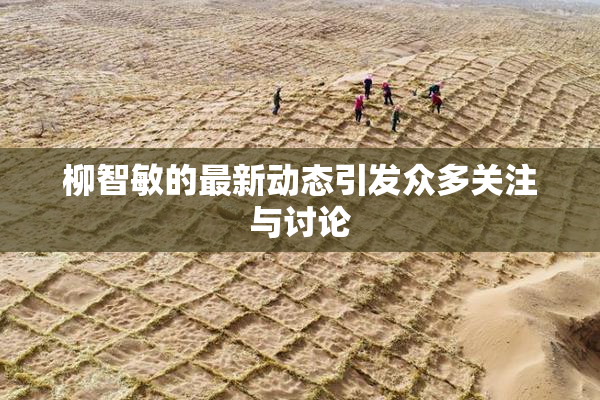 柳智敏的最新动态引发众多关注与讨论