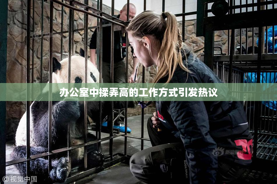 办公室中揉弄高的工作方式引发热议