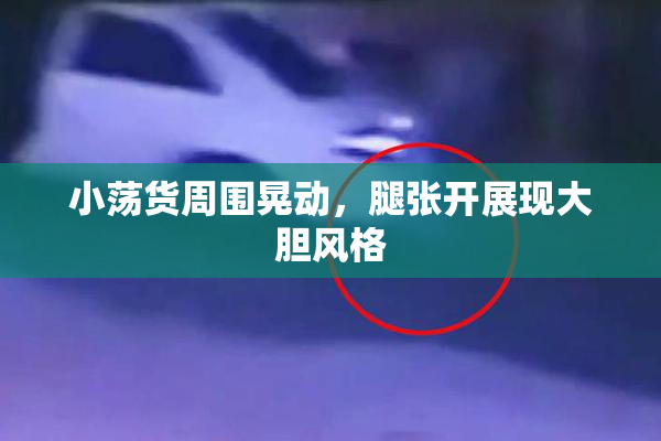 小荡货周围晃动，腿张开展现大胆风格
