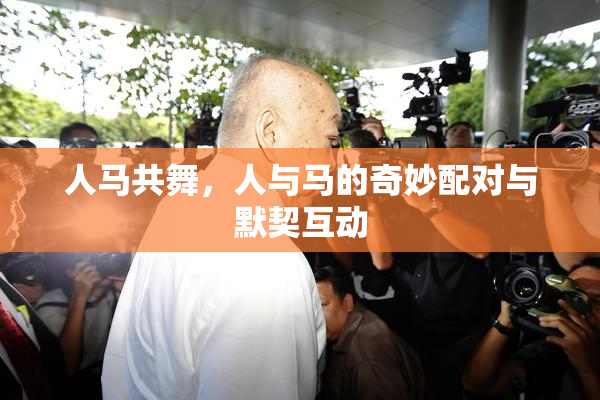 人马共舞，人与马的奇妙配对与默契互动