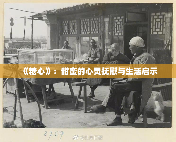 《糖心》：甜蜜的心灵抚慰与生活启示