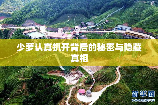 少萝认真扒开背后的秘密与隐藏真相
