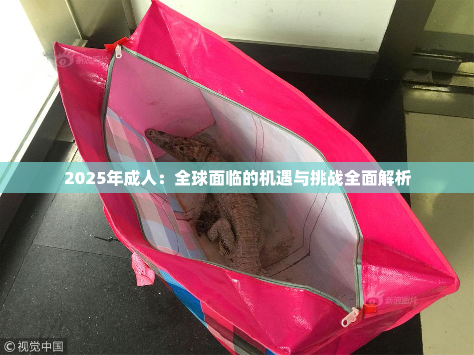 2025年成人：全球面临的机遇与挑战全面解析