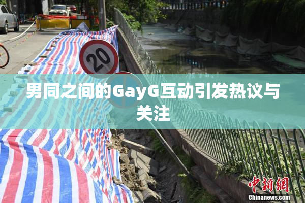 男同之间的GayG互动引发热议与关注