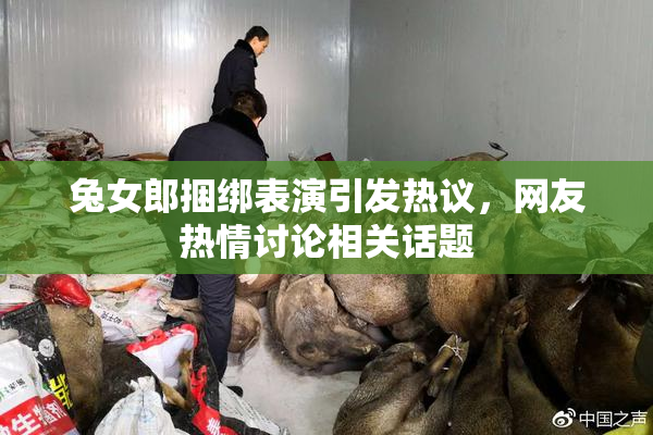 兔女郎捆绑表演引发热议，网友热情讨论相关话题