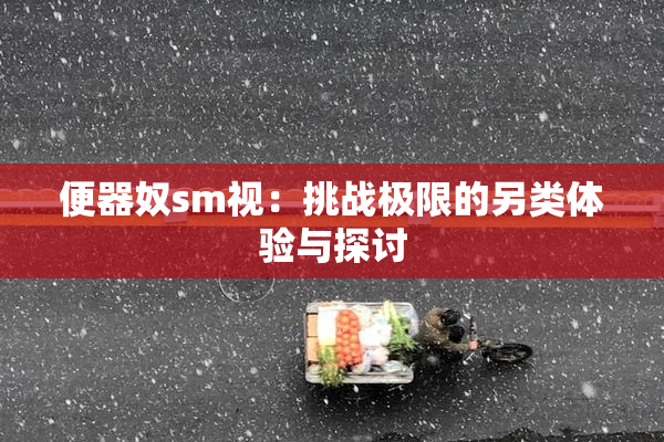 便器奴sm视：挑战极限的另类体验与探讨