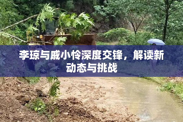 李琼与戚小怜深度交锋，解读新动态与挑战