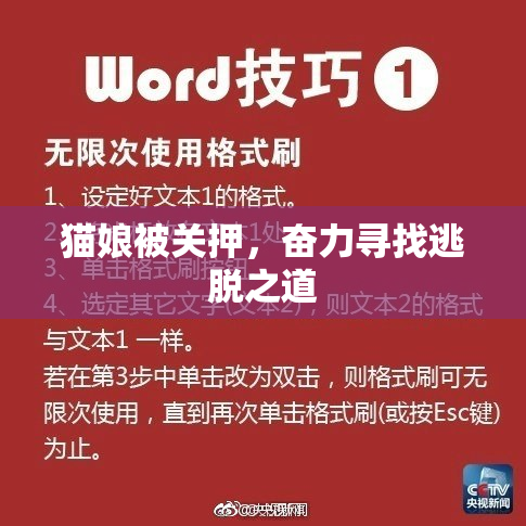 猫娘被关押，奋力寻找逃脱之道
