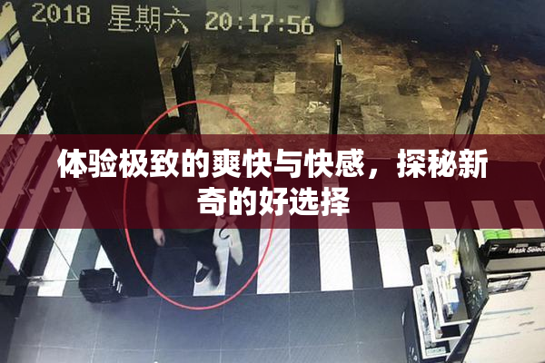 体验极致的爽快与快感，探秘新奇的好选择