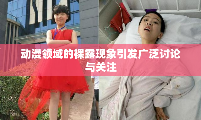 动漫领域的裸露现象引发广泛讨论与关注
