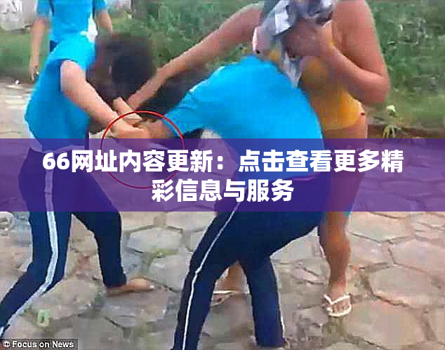 66网址内容更新：点击查看更多精彩信息与服务