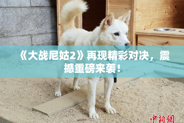 《大战尼姑2》再现精彩对决，震撼重磅来袭！