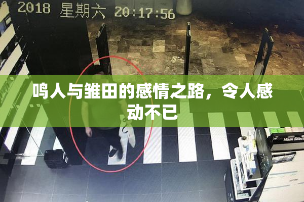 鸣人与雏田的感情之路，令人感动不已