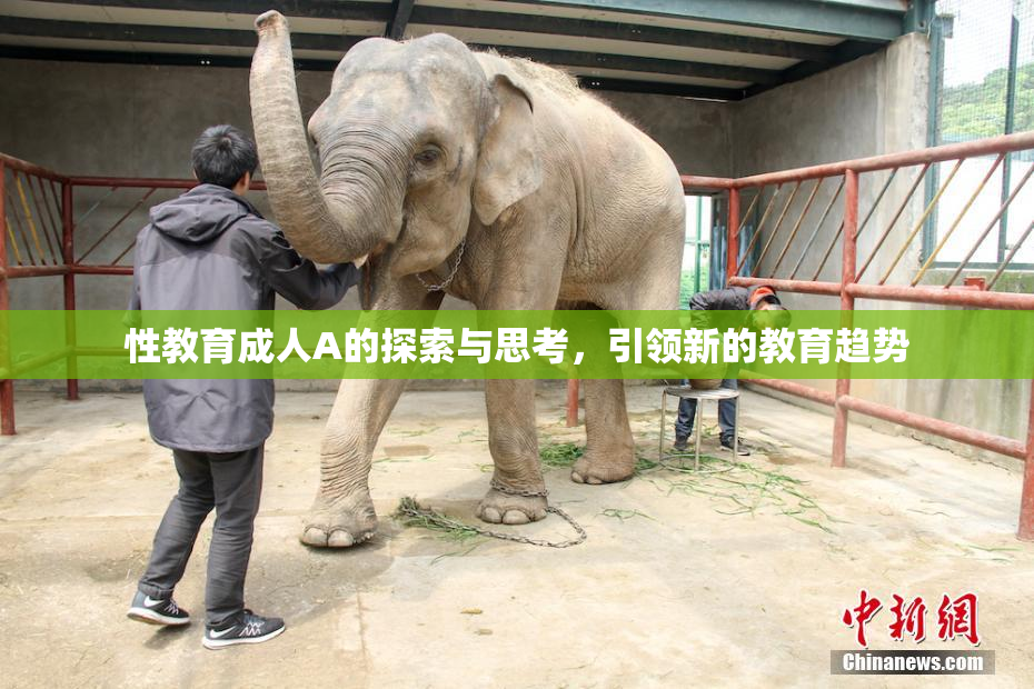 性教育成人A的探索与思考，引领新的教育趋势