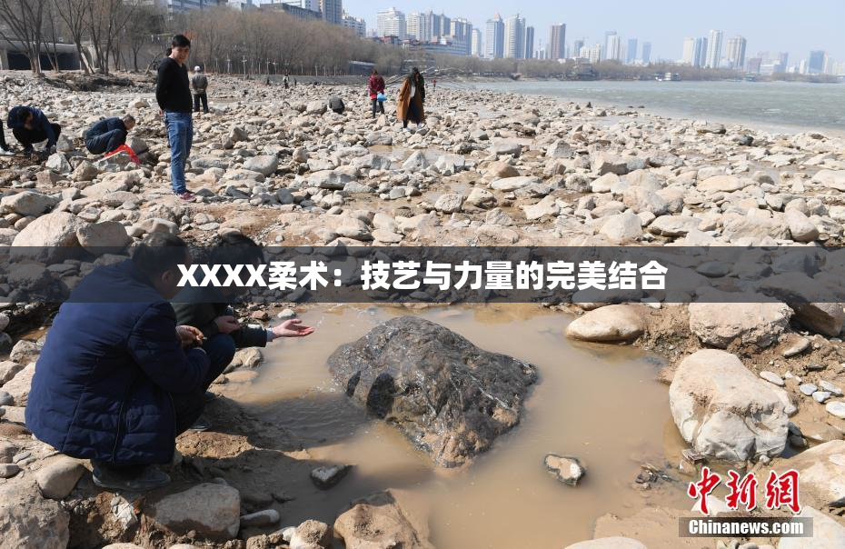 XXXX柔术：技艺与力量的完美结合