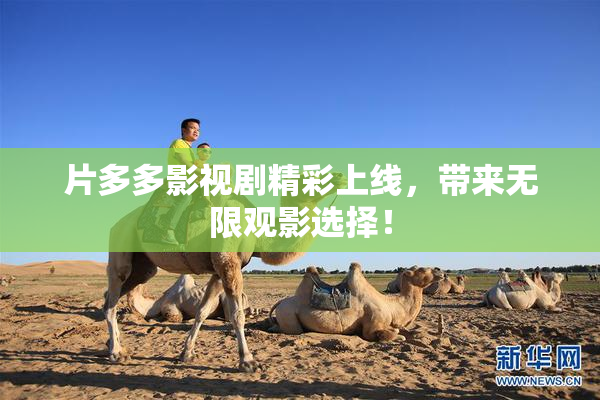 片多多影视剧精彩上线，带来无限观影选择！