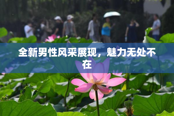 全新男性风采展现，魅力无处不在