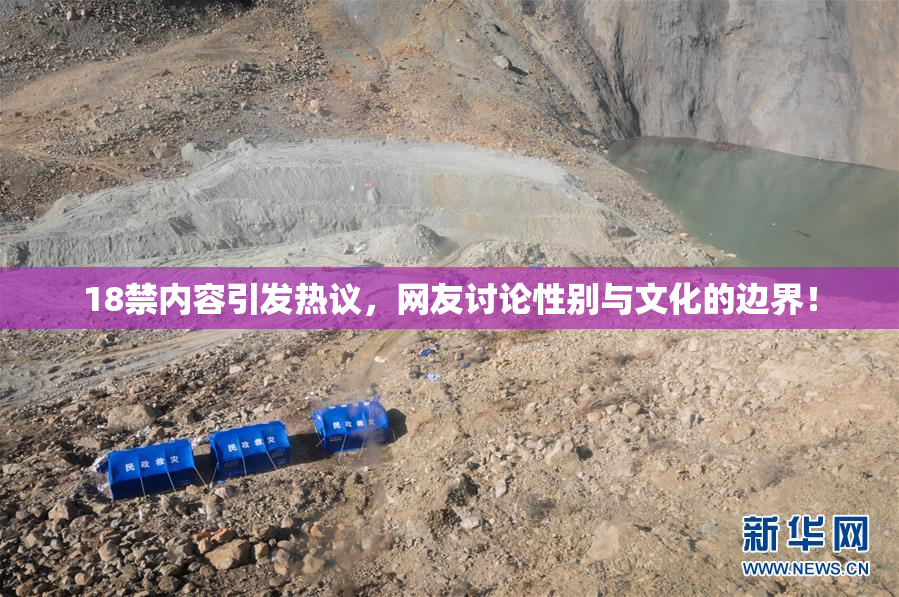 18禁内容引发热议，网友讨论性别与文化的边界！