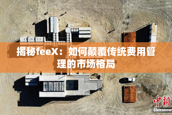 揭秘feeX：如何颠覆传统费用管理的市场格局
