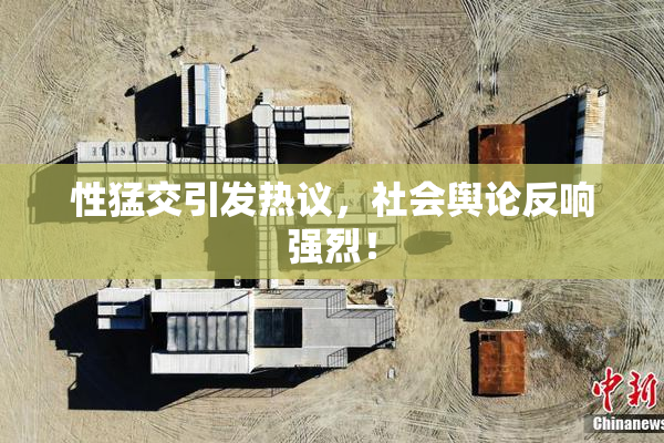 性猛交引发热议，社会舆论反响强烈！