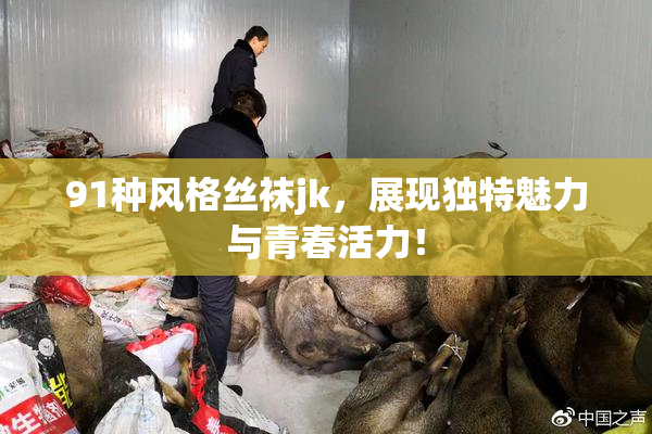 91种风格丝袜jk，展现独特魅力与青春活力！