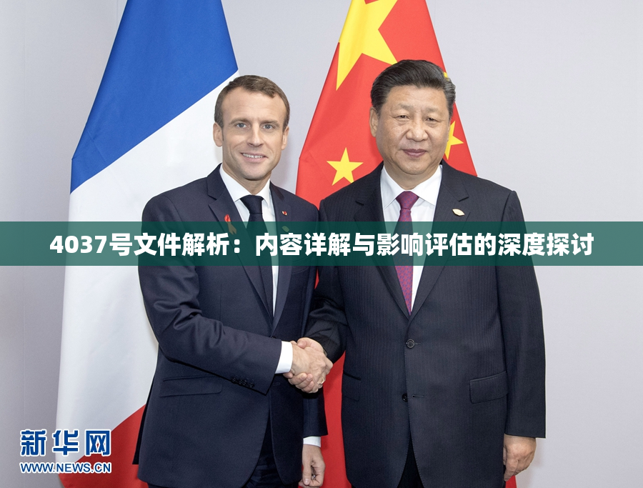 4037号文件解析：内容详解与影响评估的深度探讨