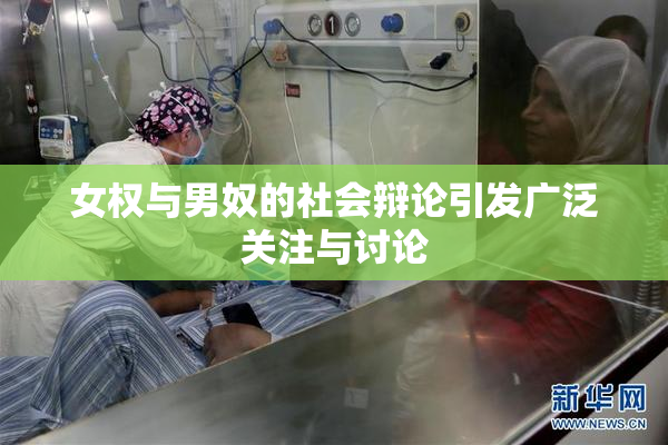 女权与男奴的社会辩论引发广泛关注与讨论