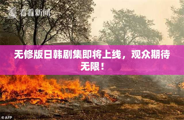 无修版日韩剧集即将上线，观众期待无限！