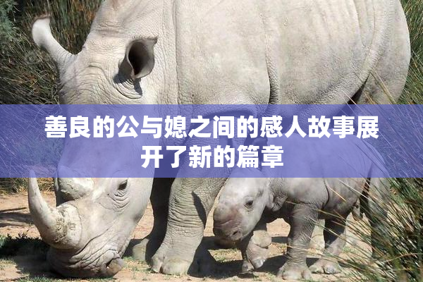 善良的公与媳之间的感人故事展开了新的篇章