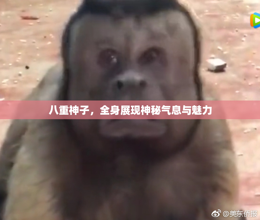 八重神子，全身展现神秘气息与魅力