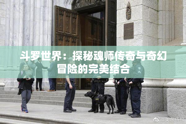 斗罗世界：探秘魂师传奇与奇幻冒险的完美结合