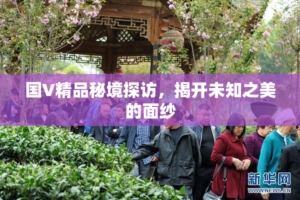国V精品秘境探访，揭开未知之美的面纱