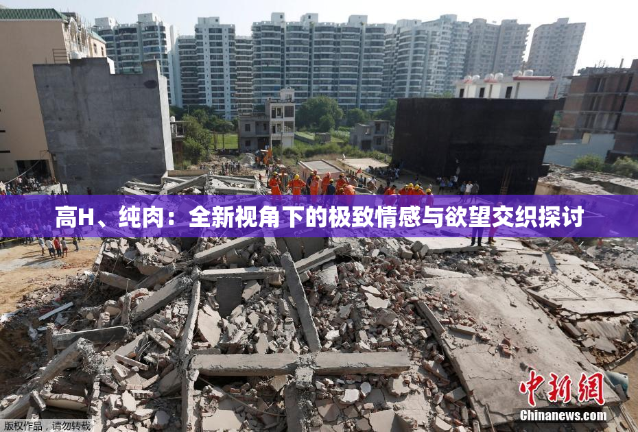 高H、纯肉：全新视角下的极致情感与欲望交织探讨