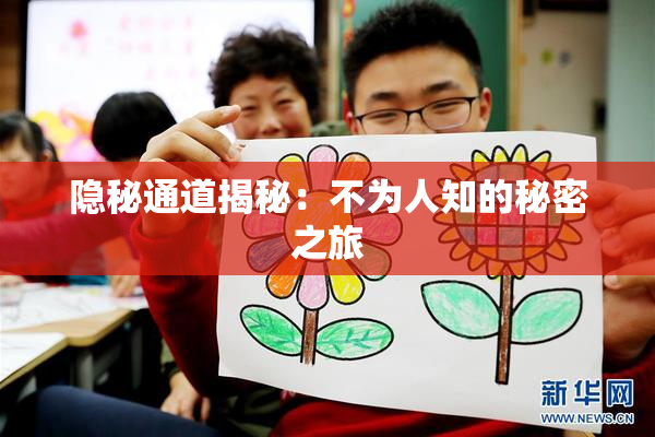 隐秘通道揭秘：不为人知的秘密之旅