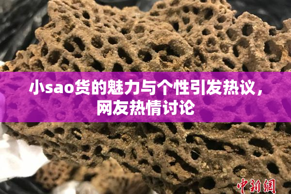 小sao货的魅力与个性引发热议，网友热情讨论