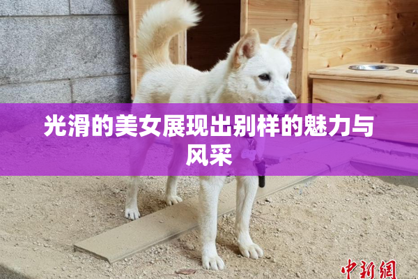 光滑的美女展现出别样的魅力与风采