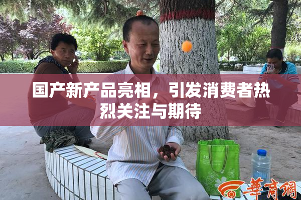 国产新产品亮相，引发消费者热烈关注与期待