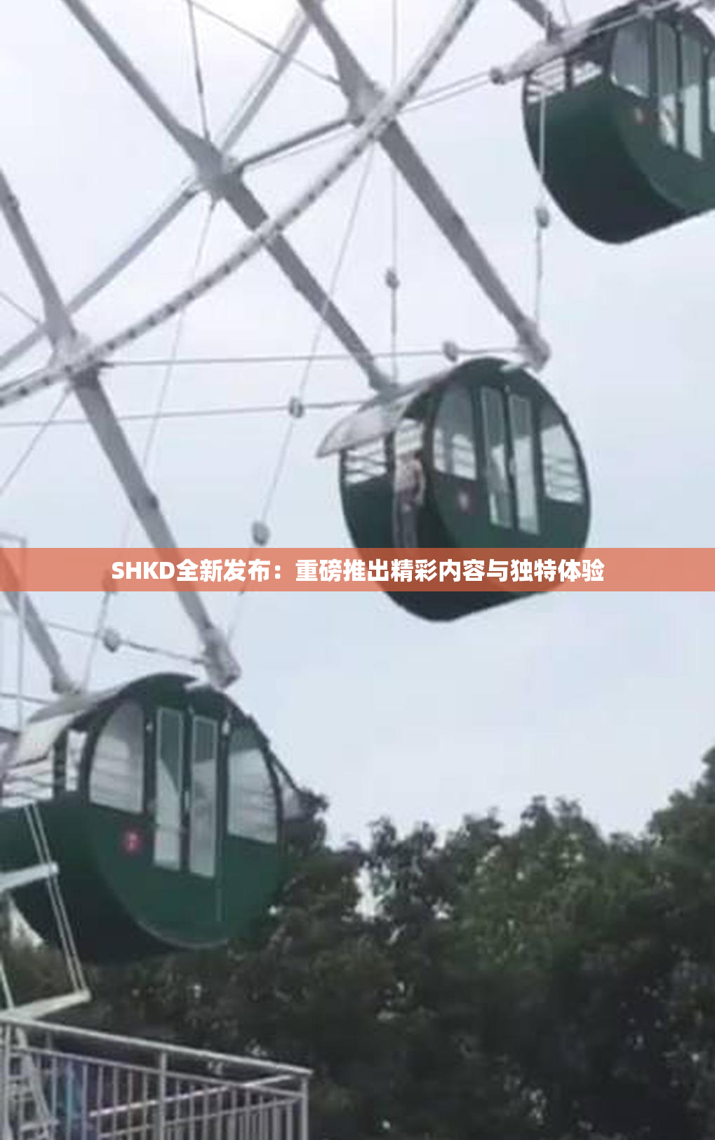 SHKD全新发布：重磅推出精彩内容与独特体验