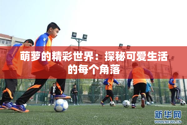 萌萝的精彩世界：探秘可爱生活的每个角落