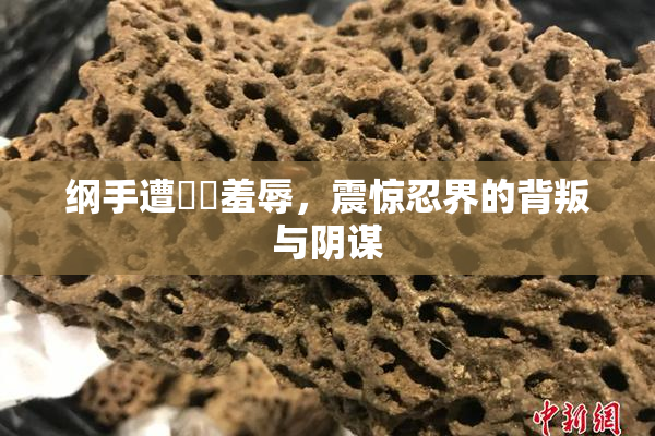纲手遭❌‌羞辱，震惊忍界的背叛与阴谋