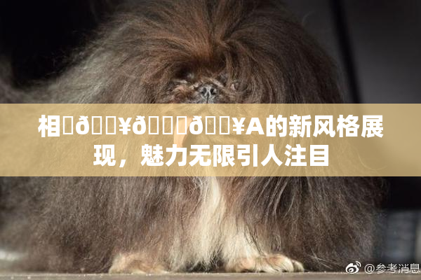 相沢🔥🍑🔥A的新风格展现，魅力无限引人注目