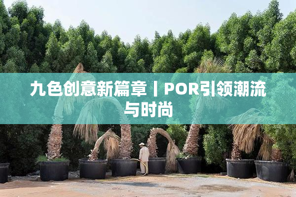 九色创意新篇章丨POR引领潮流与时尚