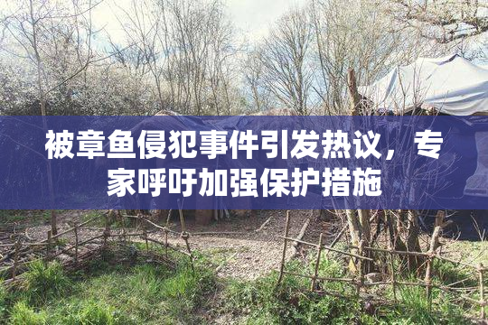 被章鱼侵犯事件引发热议，专家呼吁加强保护措施