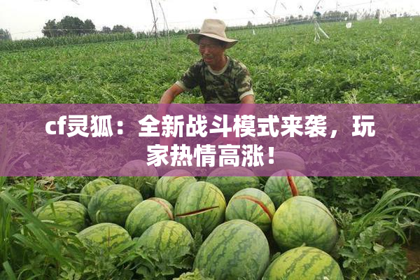 cf灵狐：全新战斗模式来袭，玩家热情高涨！