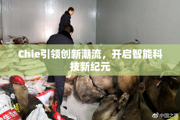 Chie引领创新潮流，开启智能科技新纪元