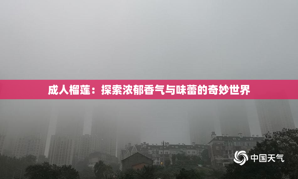 成人榴莲：探索浓郁香气与味蕾的奇妙世界